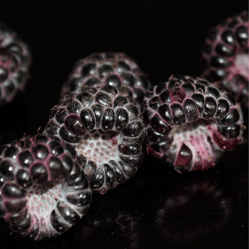 Load image into Gallery viewer, Black Raspberry – 30 Seeds
