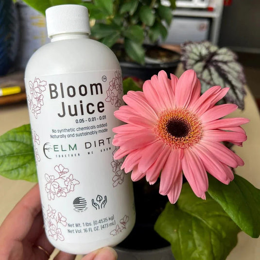 Bloom Juice Award-Winning Formula
