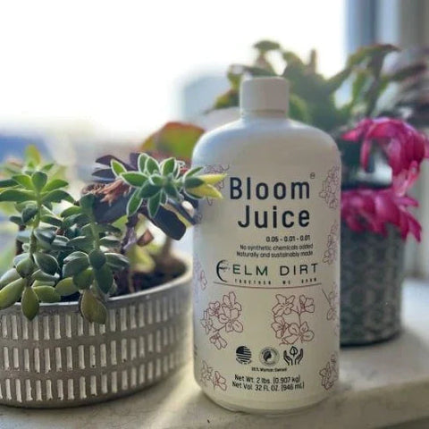 Elm Dirt Bloom Juice award-winning formula bottle