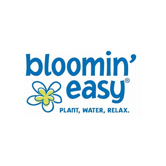Bubble Bath™ Hardy Hydrangea | Hydrangea paniculata 'Bokomabou' USPPAF, CPBRAF