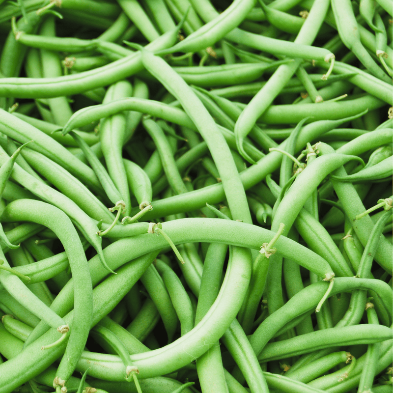 Load image into Gallery viewer, Blue Lake Bean (Pole) – 50 Seeds
