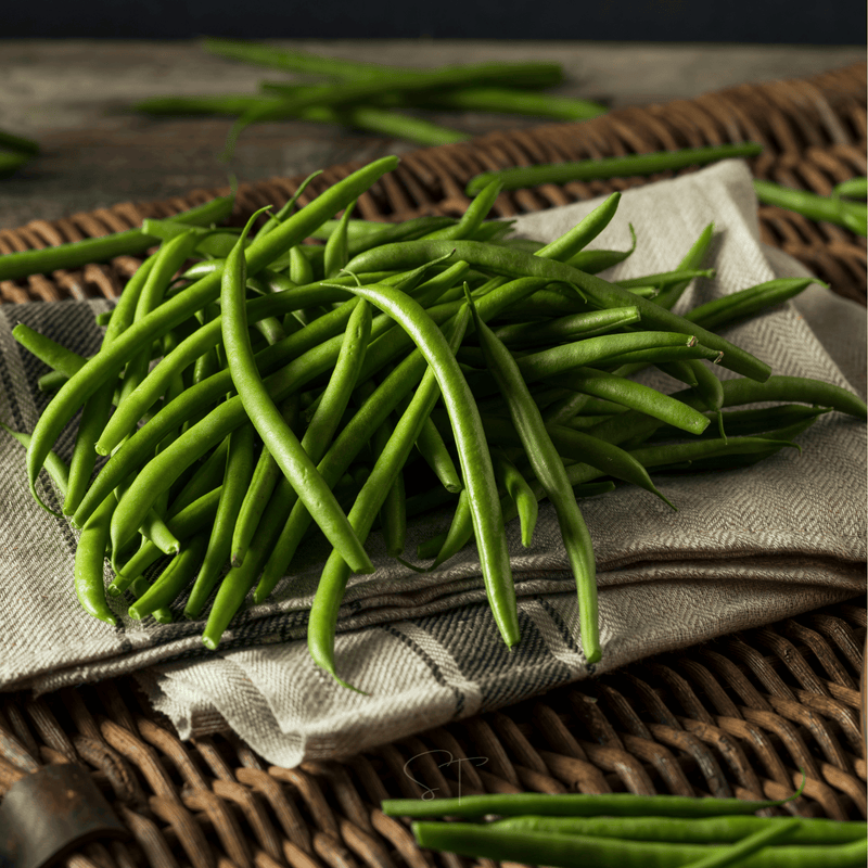 Load image into Gallery viewer, Blue Lake Bean (Pole) – 50 Seeds
