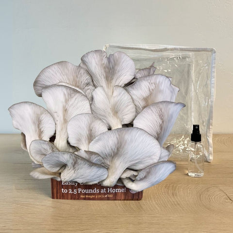 Mushroom growing kit, package detail