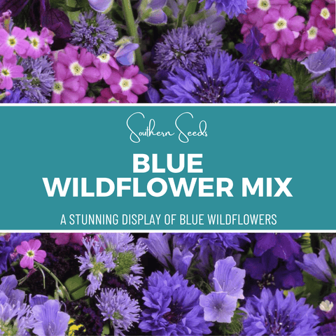 Blue Wildflower Seed Mix 100 Seeds