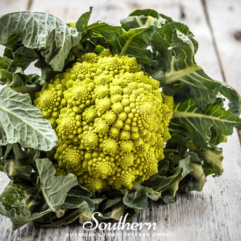 Romanesco Broccoli 100 Seeds