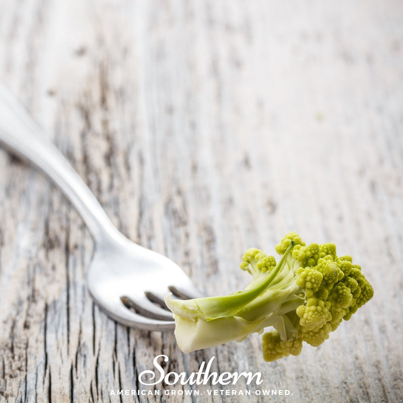 Load image into Gallery viewer, Romanesco Broccoli – 100 Seeds
