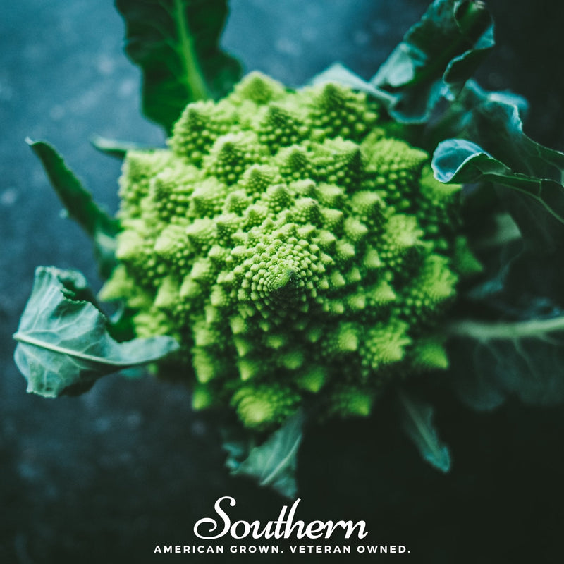 Load image into Gallery viewer, Romanesco Broccoli – 100 Seeds
