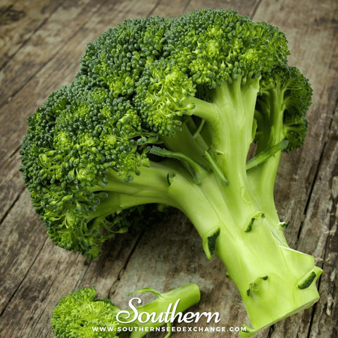 Waltham 29 Broccoli seeds package, 100 count, GrowTime Garden Supply