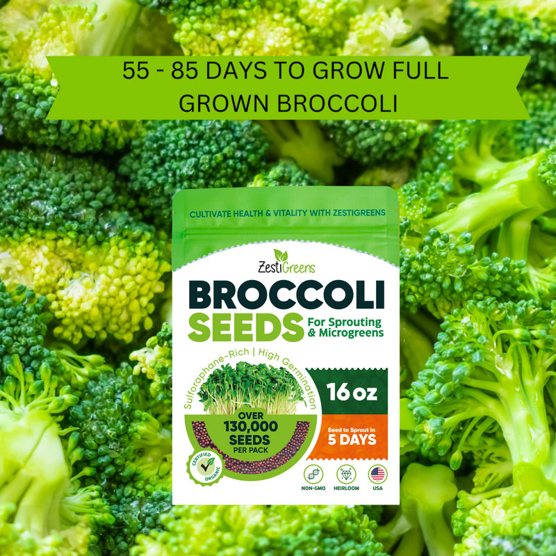 Load image into Gallery viewer, Organic Broccoli Seeds

