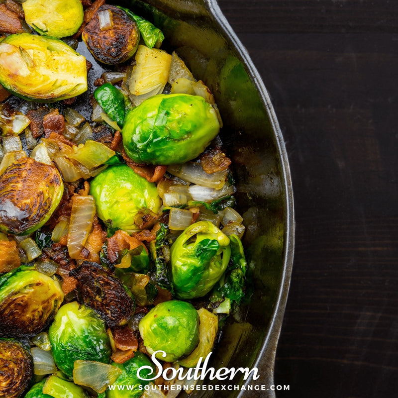Load image into Gallery viewer, Long Island Improved Brussels Sprouts – 250 Seeds
