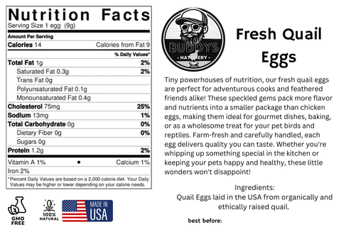 Fresh quail eggs, close-up detail