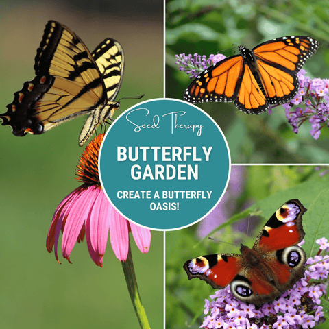 Butterfly Garden Seed Collection 10 Varieties