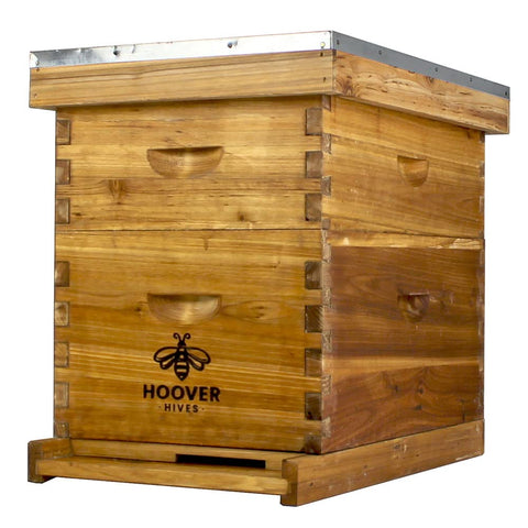 Wax-coated 8-frame beehive, 1 deep and 1 medium, front