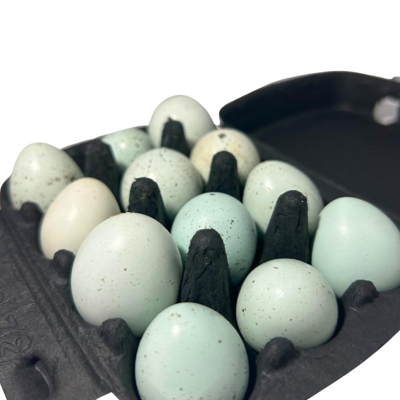 Load image into Gallery viewer, Hollowed Celadon Quail Eggs (Count of 10) Empty Natural Eggs for Crafts
