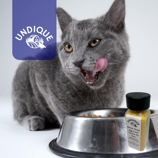 Quailicious Boost - Made in USA High-Protein Quail Egg Cat Food Topper, Freeze-Dried for Cat Digestive Health - Nutrient-Rich, Grain-Free Digestive Support for Cats, Ideal for Picky Eaters