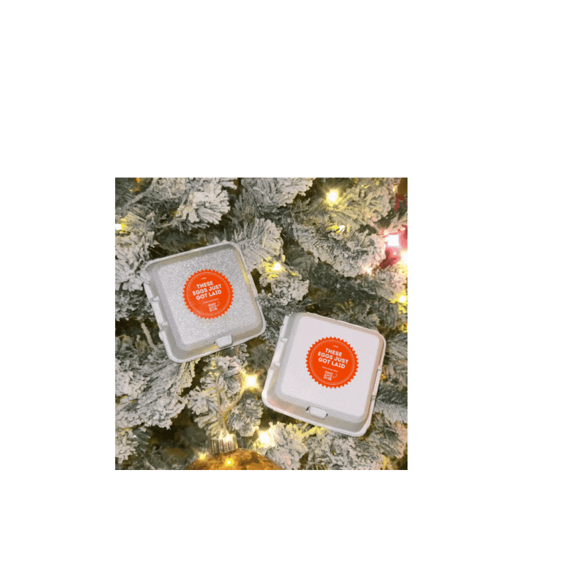 Load image into Gallery viewer, "Just Got Laid" 4-Egg Carton
