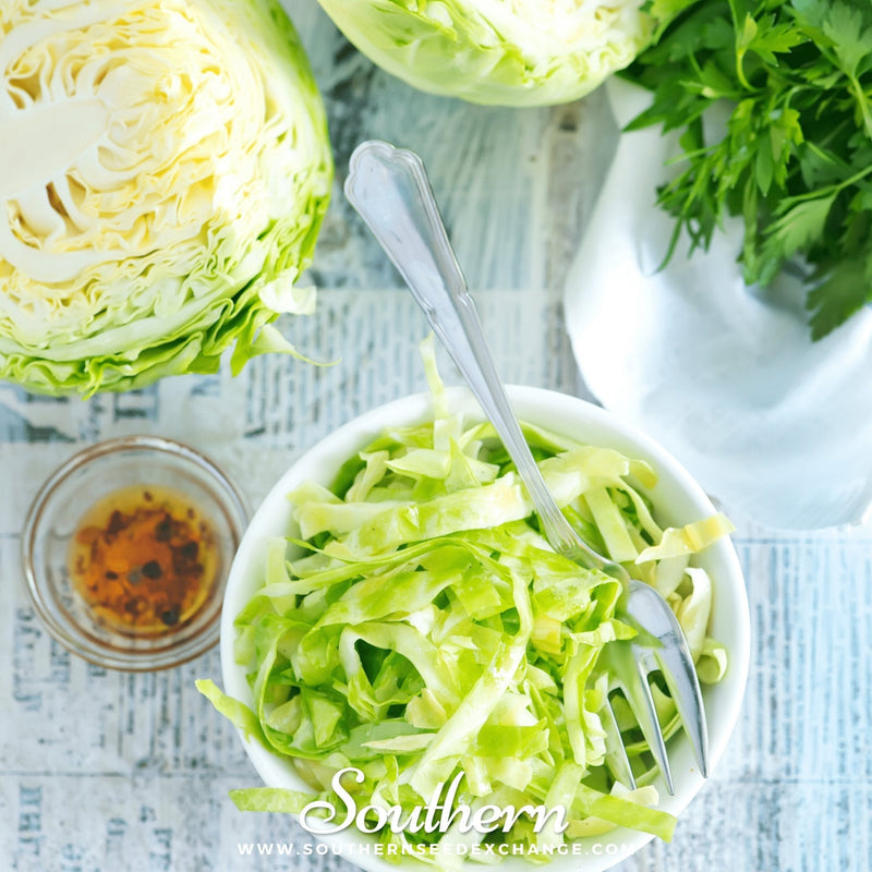 Load image into Gallery viewer, Copenhagen Market Cabbage – 100 Seeds
