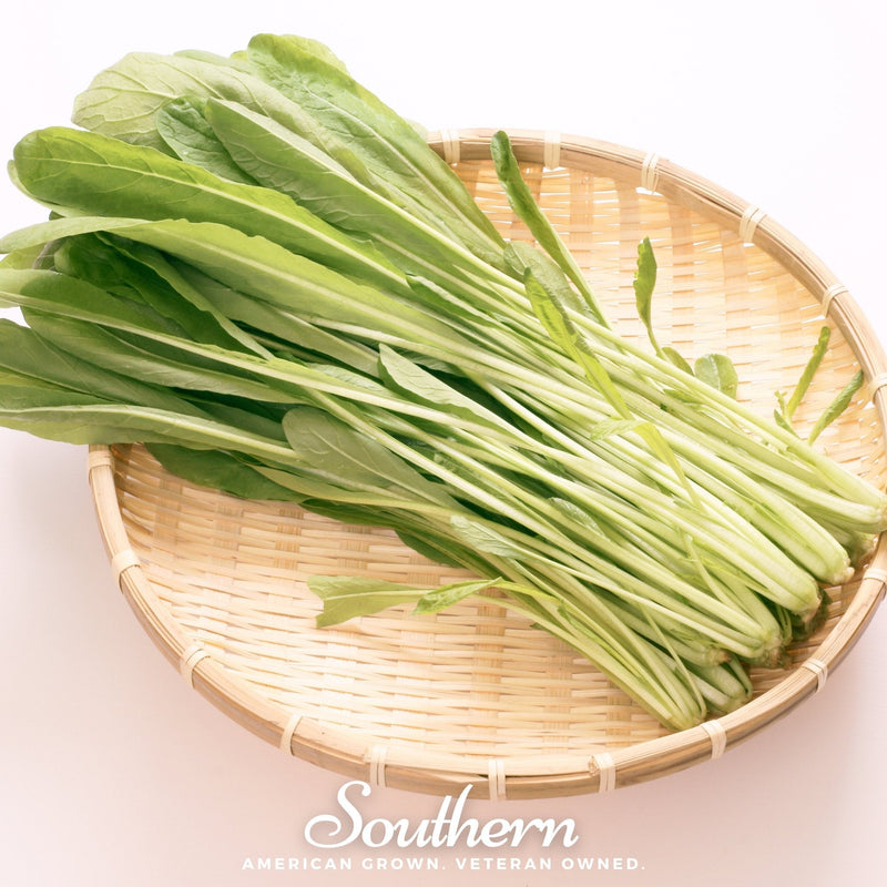 Load image into Gallery viewer, Mibuna Chinese Cabbage – 100 Seeds
