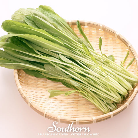 Mibuna Chinese Cabbage – 100 Seeds, retail packaging