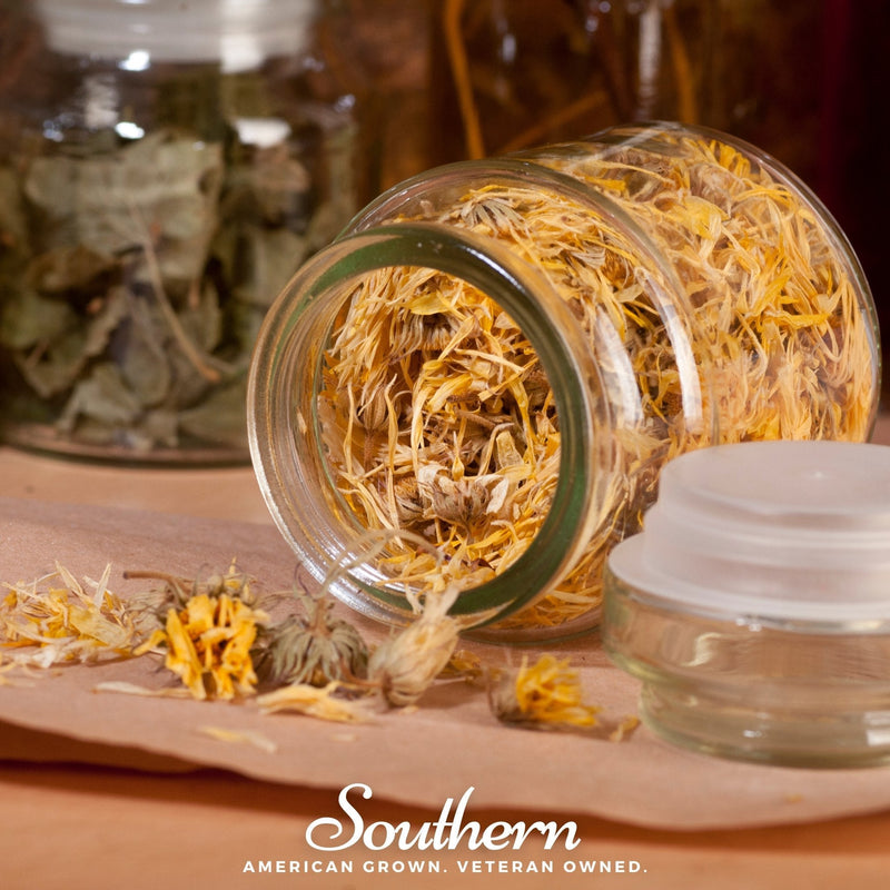 Load image into Gallery viewer, Fiesta Gitana Calendula – 100 Seeds
