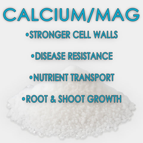 RAW Calcium/Mag | 15% Calcium + 3% Magnesium | Water-Soluble Supplement, additional product view 2