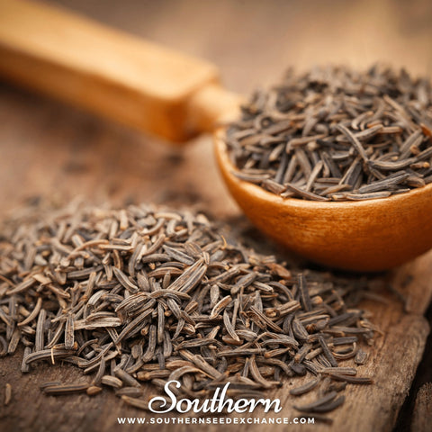 Caraway seeds package, 150 count, GrowTime Garden Supply