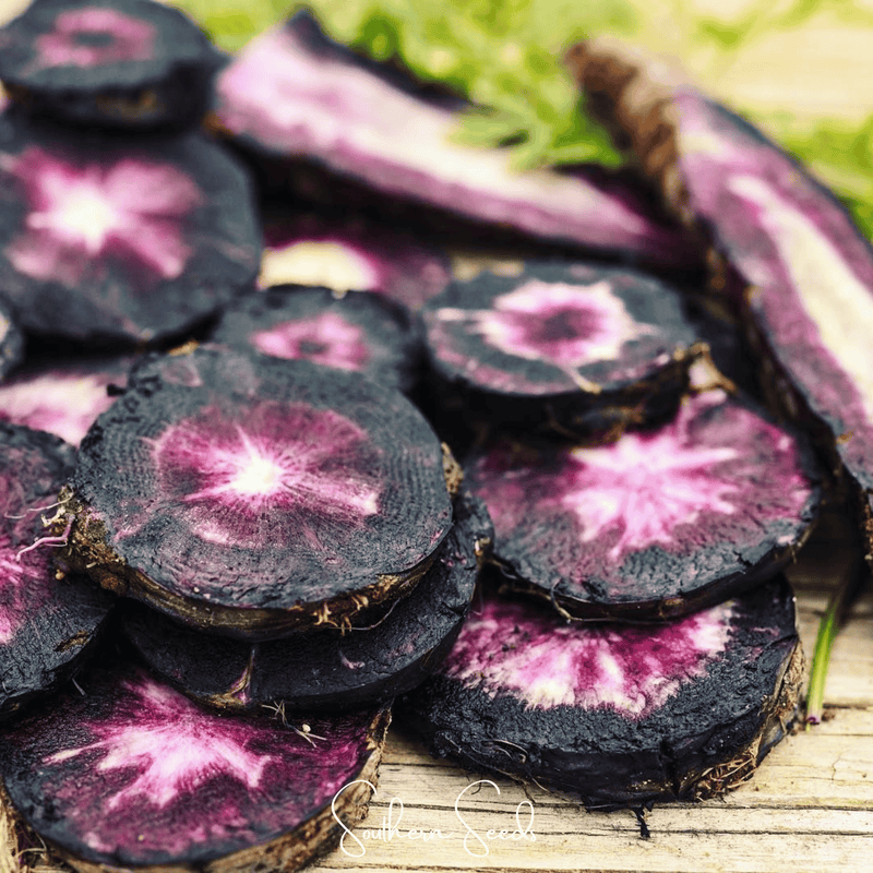Load image into Gallery viewer, Black Nebula Carrot – 250 Seeds
