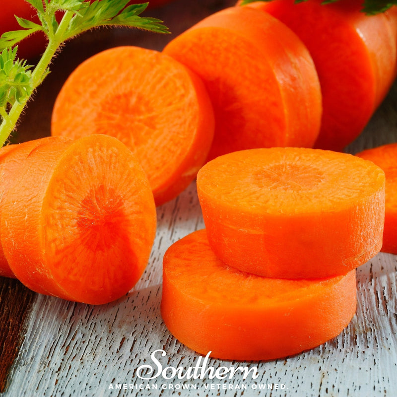 Load image into Gallery viewer, Chantenay Red Core Carrot – 250 Seeds
