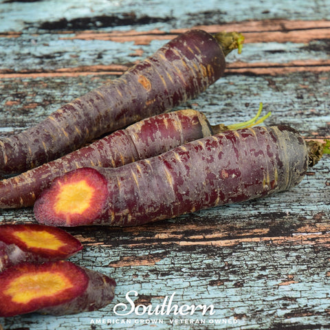 Cosmic Purple Carrot – 250 Seeds, additional product view 2