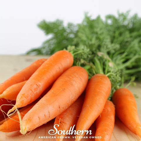 Danvers Carrot 250 Seeds