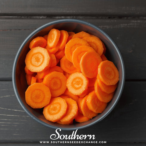 Imperator 58 Carrot – 250 Seeds, additional product view 2