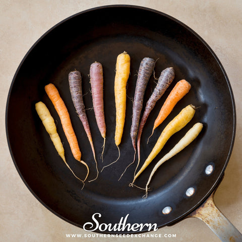 Rainbow Carrot – 100 Seeds, additional product view 2