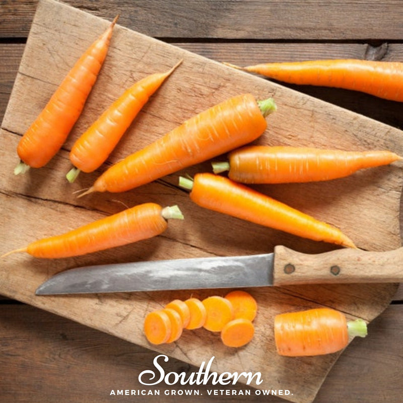 Load image into Gallery viewer, Scarlet Nantes Carrot – 250 Seeds
