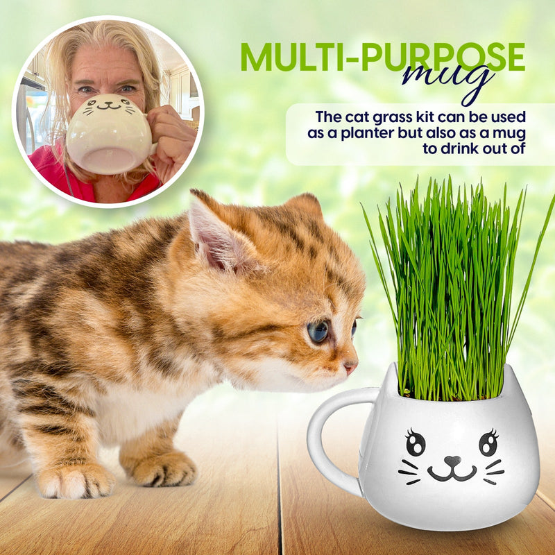 Load image into Gallery viewer, Cat Grass Mug Growing Kit
