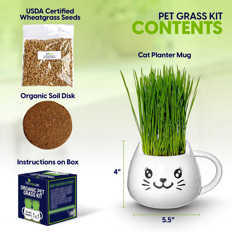 Load image into Gallery viewer, Cat Grass Mug Growing Kit
