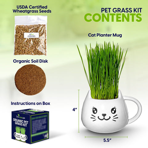 Cat Grass Mug Growing Kit, additional product view 2