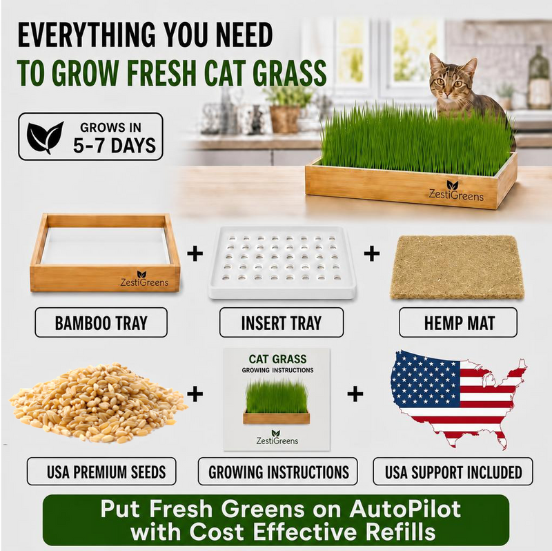 Load image into Gallery viewer, Self Watering Cat Grass Kit. The Easiest Way to Grow Cat Grass.
