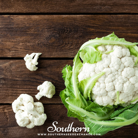 Snowball Y Improved Cauliflower seeds package, 200 count, GrowTime Garden Supply