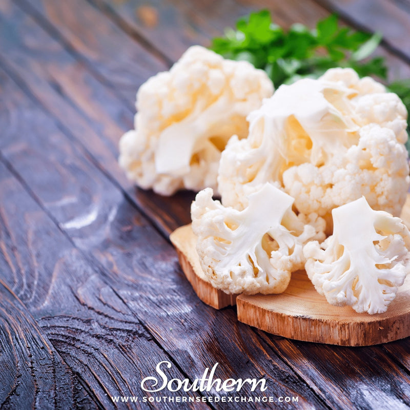 Load image into Gallery viewer, Snowball Y Improved Cauliflower – 200 Seeds
