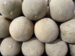 Organic Native American Iroquois Melon seeds package, GrowTime Garden Supply