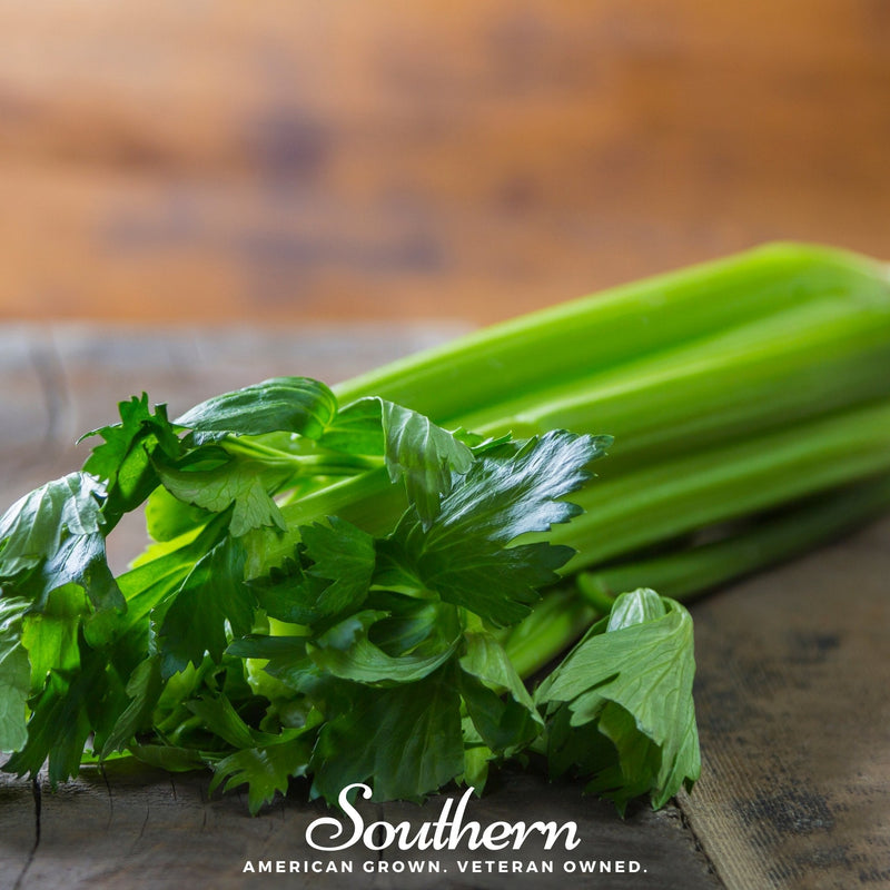 Load image into Gallery viewer, Tendercrisp Celery – 300 Seeds
