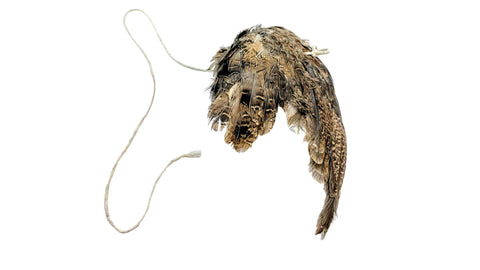 Wing on string cat toy, real quail wing, packaging
