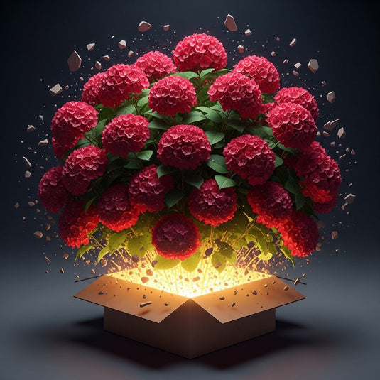 Cherry-Go-Round™ Red Hydrangea - Reblooming Compact Mophead