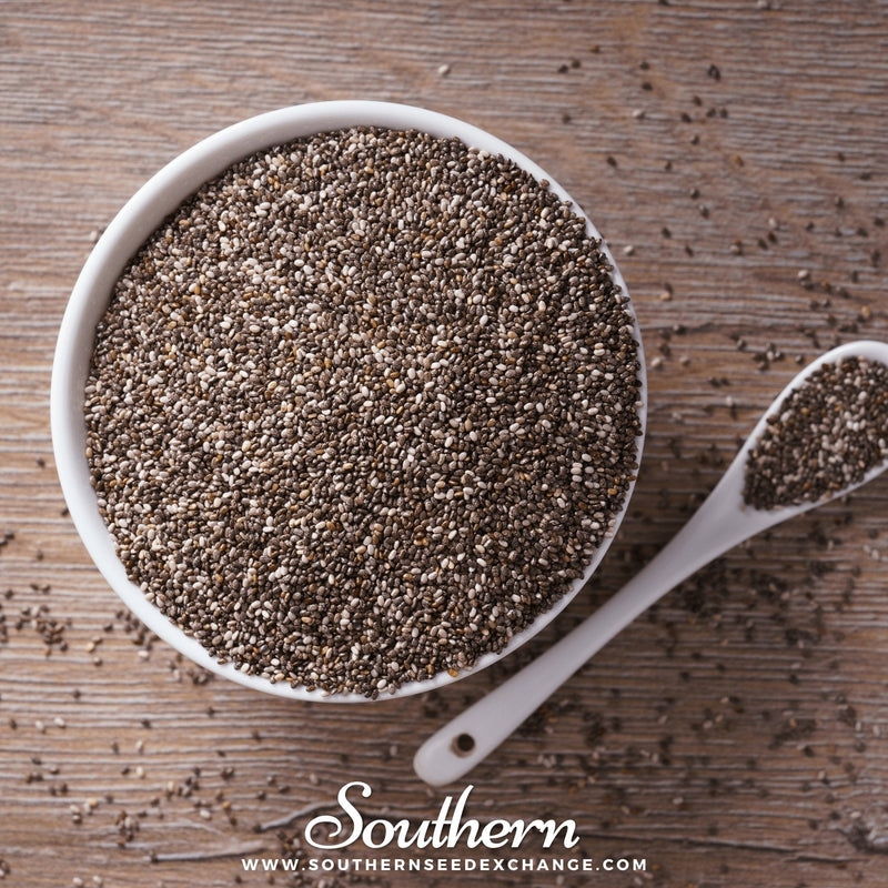 Load image into Gallery viewer, Chia – 250 Seeds
