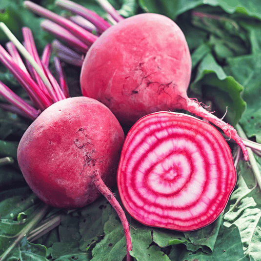 Chioggia Beet – 100 Seeds