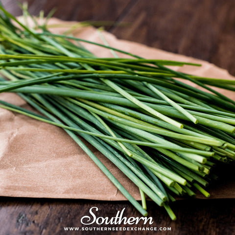 Chives – 100 Seeds, additional product view 2