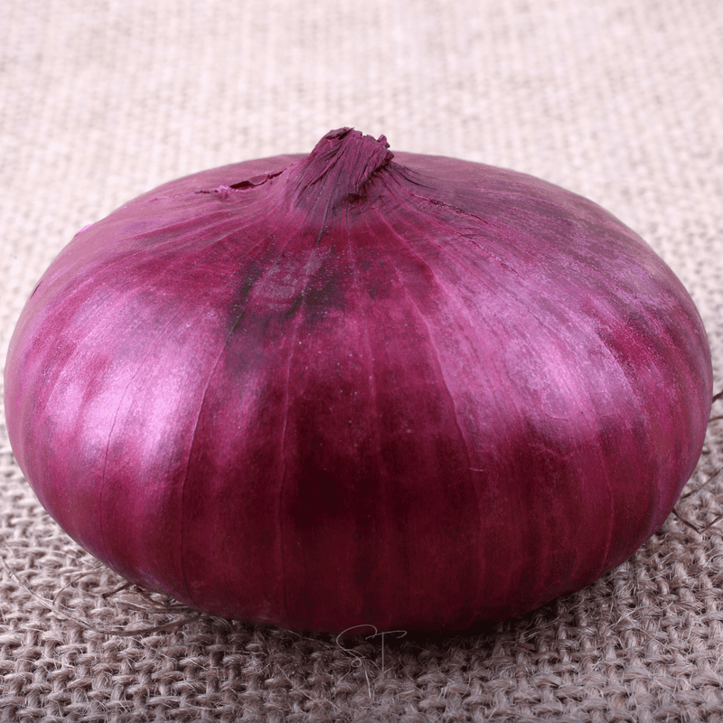 Load image into Gallery viewer, Cipollini Red Onion – 100 Seeds
