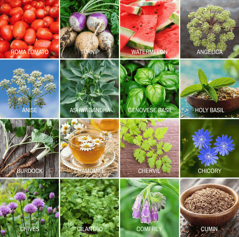 Load image into Gallery viewer, Community Garden Survival Seed Vault – 120 Seed Varieties
