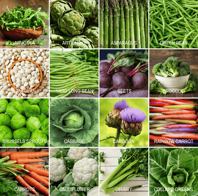 Load image into Gallery viewer, Community Garden Survival Seed Vault – 120 Seed Varieties
