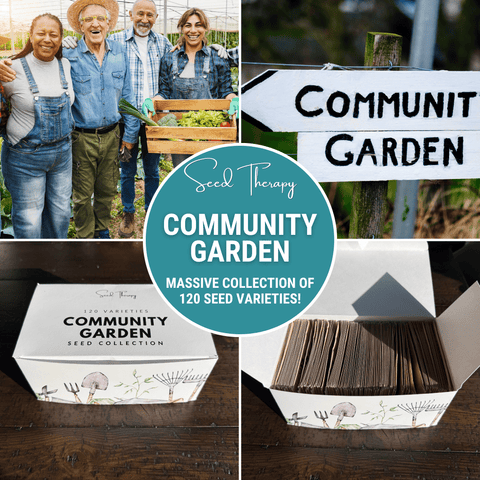 Community Garden Survival Seed Vault – 120 Seed Varieties, additional product view 2